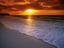 Image_4134-17