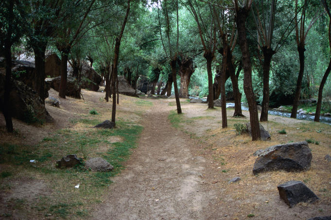 Walking trail through the forest fringing the Ihlara river, Ihlara Valley, Cappadocia, Central Anatolia