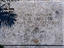 Image_4155-7