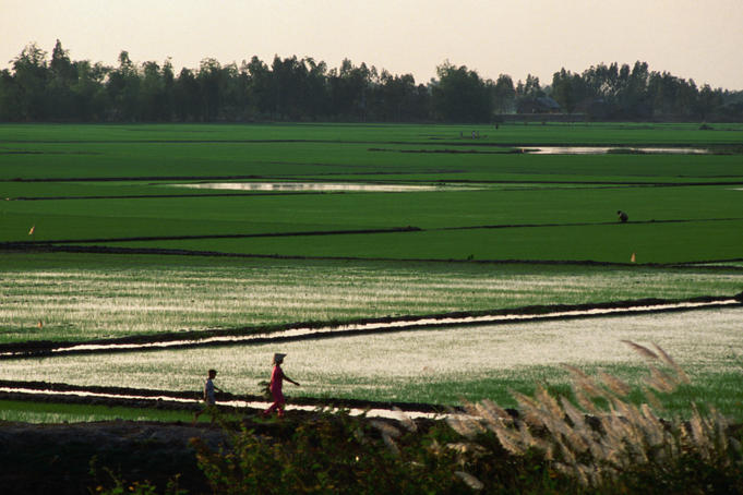 Mekong+delta+photos