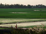 Rice paddies around Chau Doc, Mekong Delta