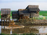 Rural houses along paddies, Chau Doc, Mekong Delta