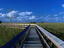 Some of the best views across the Florida Everglades National Park are from the Pa-Hay-Okee boardwalk. The term comes from the Native American term 'grassy water'.