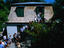 Image_4178-18