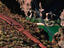 Image_4179-21