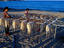 Racks of octopus, South Korea