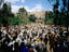 Image_420-35