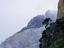A lone tree and the Principal Cuerno of Torres del Paine National Park.
