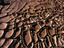 Dried mud.