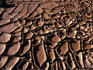 Dried mud.