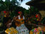 Image_4226-14