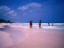 Image_4231-6