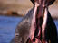 Image_4277-3