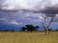 thunderstorm, Marie's Loop, Kgalagadi Transfrontier Park