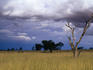 A thunderstorm brewing over grassland at Marie's Loop in the Kgalagadi Transfrontier Park, which crosses into neighbouring Botswana