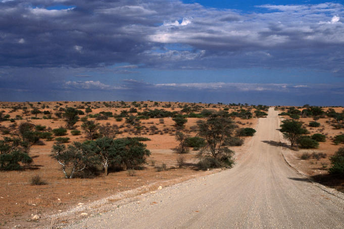 Un-made road cutting across scrubby plains.