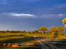 Lions ( Panthera leo ) watch the sun go down in the Hwange National Park