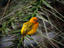 Image_4294-1