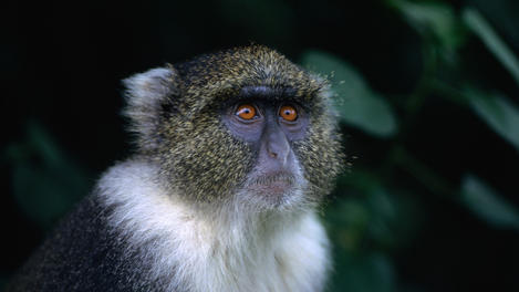 Image_4297-21