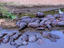 Image_4312-1