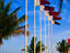 Image_434-2004
