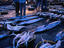 Fish souk, Abu Dhabi