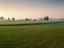 Amish farm.