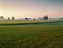 Amish farm.
