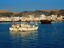 Image_436-2204