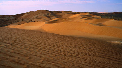 Image_436-2401