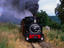 Image_4376-3