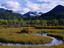 Image_4377-37