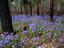 Image_4410-17