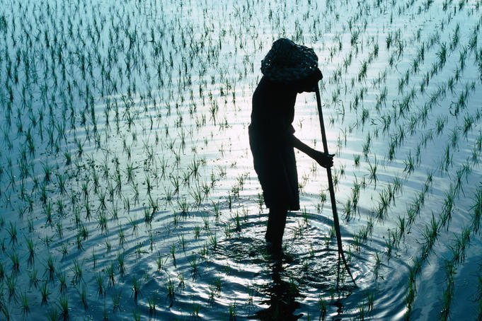 Top 25 experiences in Bali and Lombok
