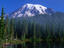 Mt Rainier, a stunning active volcano encased in 35km's of snow, ice and old growth forest sits behind Reflection Lake.
