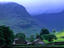 Image_4446-1