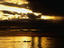 Image_446-22