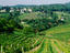 Village of Nussdorf, Vienna