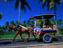 Horse and cart taxi in Labuhanlombok.