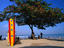 Image_4475-31