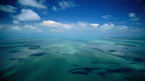 Image_4479-15