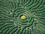 Aerial of Corn maze in Denver Botanic Gardens.