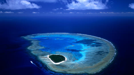 Image_4489-1