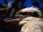 Image_4494-15
