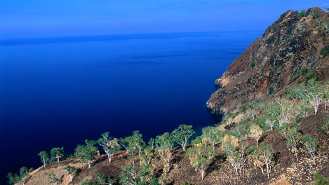 Image_4509-2