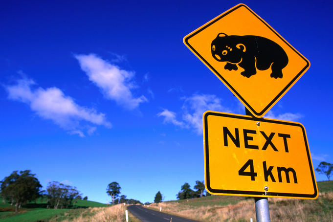 Living on the edge: the wildlife of southwestern Australia