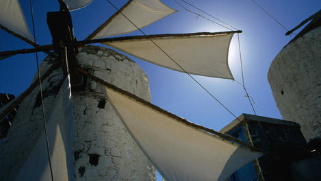 Image_4546-2