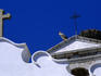 White Stork nesting and guarding its vantage point on top of the facade of a church in Faro.
