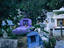 Image_4594-5