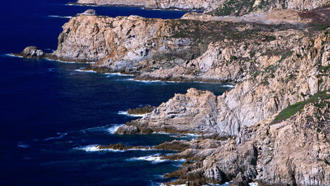 Image_4611-4
